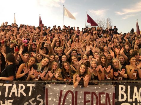 As the Wolves prepared to battle Chaparral, students pack the Wolfden. The Firebirds prevailed, 48-0. 