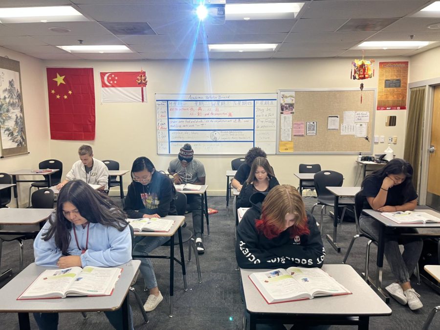 Nǐ HǎO: Lily Mullen (9), Maddison McFarlen (9), Sasha Granik(9), Polett Arias (9), Abigail Cohen (9), Santana Wilson (11), Allison Ortiz (9), and Terry Legg (9) are pictured learning how to pronounce Mandarin vowels. Teacher Dr. Chan says, I want to show Desert Mountain students another option for a language. Mandarin is the future and not many people are taking advantage of their own surroundings. Mandarin is just one of the many languages that are offered at Desert Mountain. 