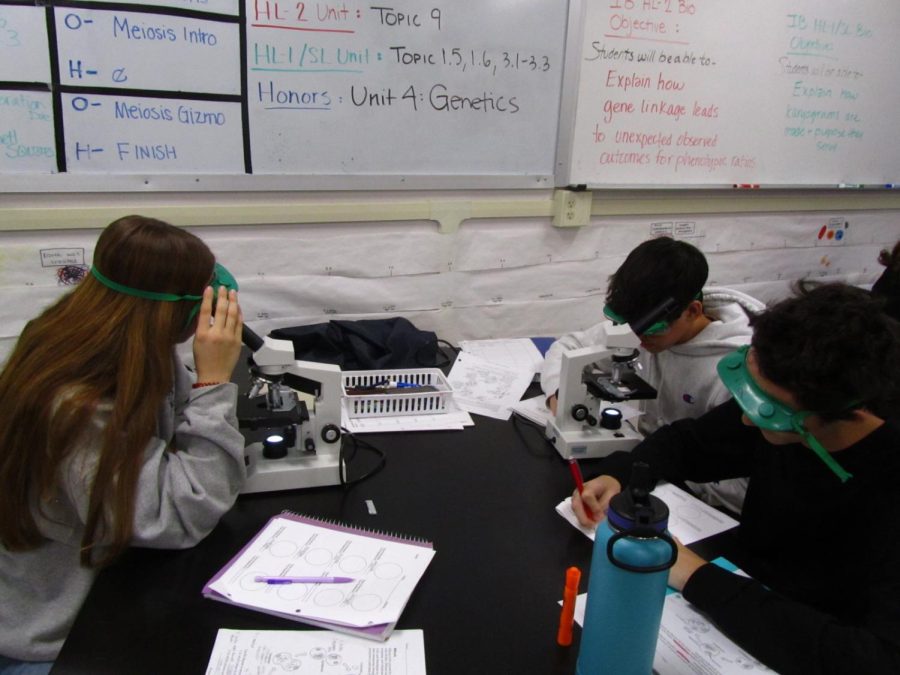 “I like being able to use Microscopes in Biology because I don’t have good enough eyesight to see cells without them,” says Perri Mattisinko (9) Dr. Wells’ Honors Biology class participates on a hands-on lab to understand the cell phases. Perri Mattisinko (9), Parker Cullison (9), and Ronan Freeborn (10) observe Onion Stems and illustrate the results they view. They associate a phase of cell reproduction to what they saw visually as a part of the Cell Studies Unit. 
